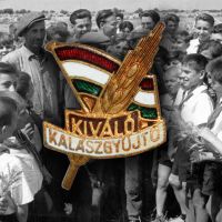 Kiváló Kalászgyűjtő